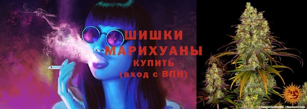 кокс Козельск
