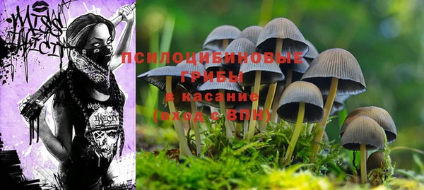 MDMA Premium VHQ Козловка