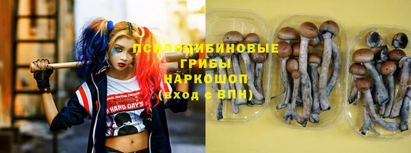 кокс Козельск