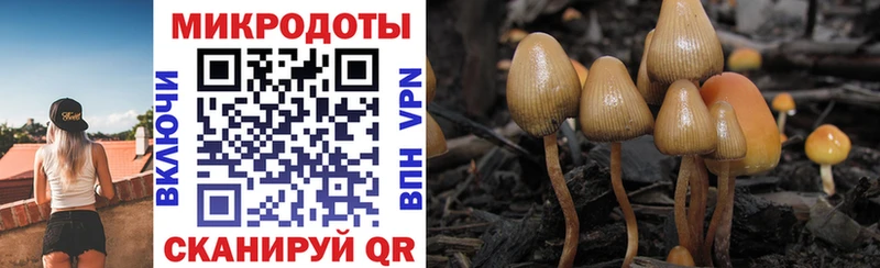 ссылка на мегу зеркало  Эртиль  Галлюциногенные грибы MAGIC MUSHROOMS  цены наркотик 